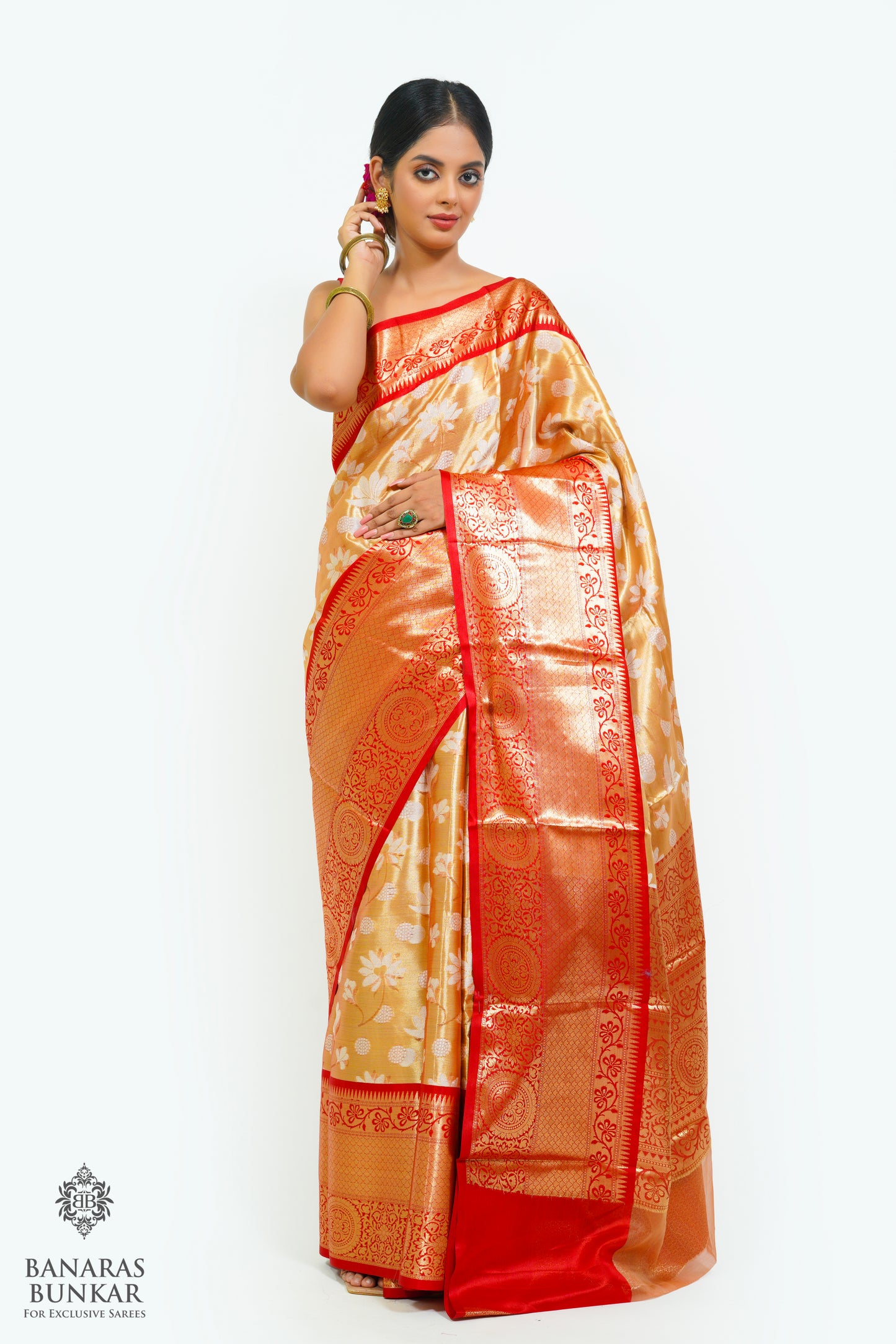 Banarasi Tissue silk saree allover jaal design with contrast skirt Border.
