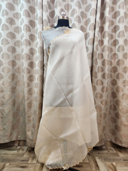 Banarasi pure chickenkari organza silk saree