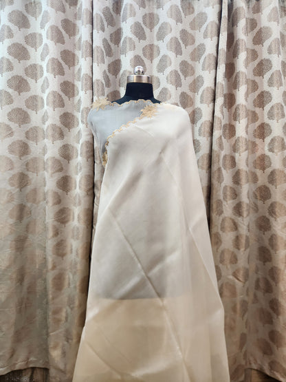 Banarasi pure chickenkari organza silk saree