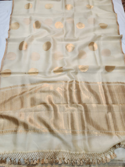 Banarasi Handloom pure kaduwa kora silk saree Handwoven - off white