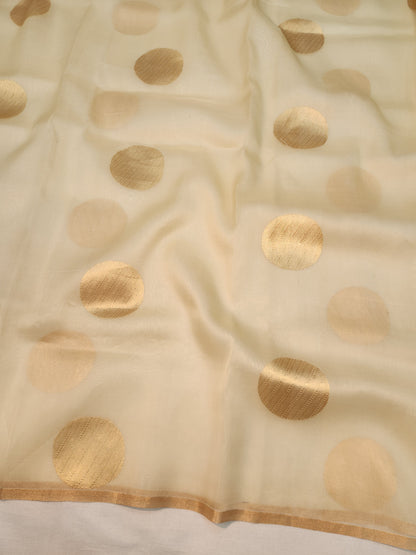 Banarasi Handloom pure kaduwa kora silk saree Handwoven - off white
