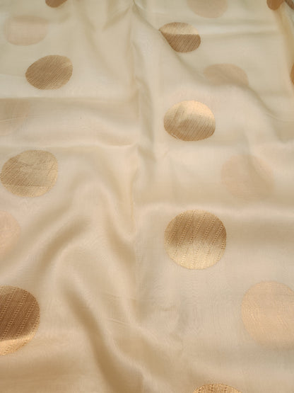 Banarasi Handloom pure kaduwa kora silk saree Handwoven - off white