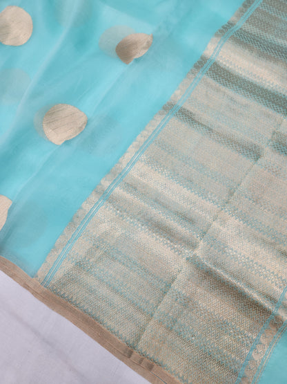 Banarasi Handloom Pure kaduwa kora silk saree HandWoven - sea green