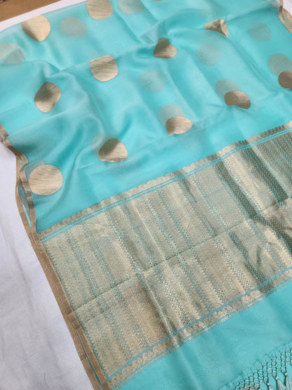 Banarasi Handloom Pure kaduwa kora silk saree HandWoven - sea green