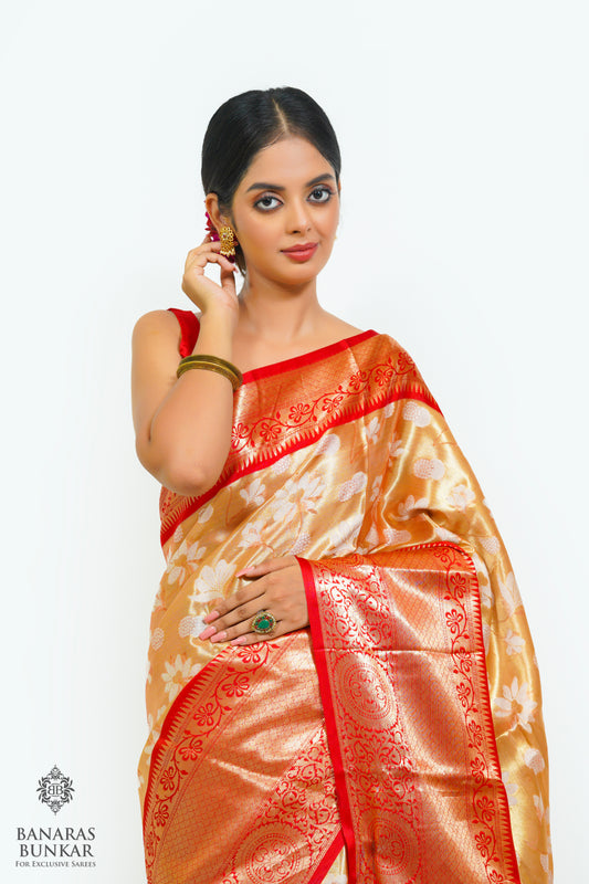 Banarasi Tissue silk saree allover jaal design with contrast skirt Border.