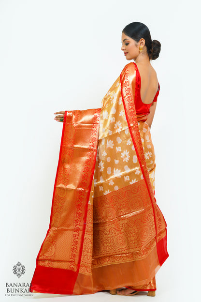 Banarasi Tissue silk saree allover jaal design with contrast skirt Border.
