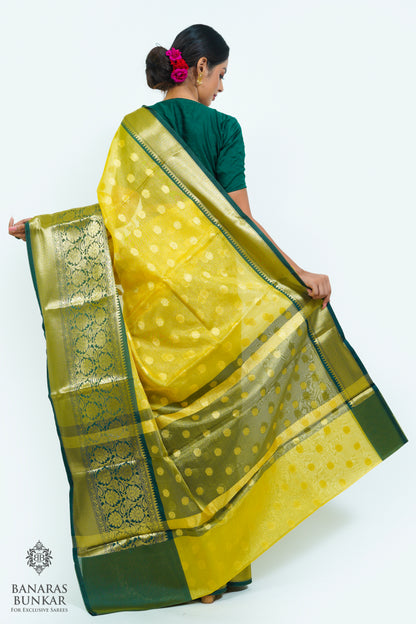 Banarasi Tissue silk saree allover Buti design with contrast skirt Border.