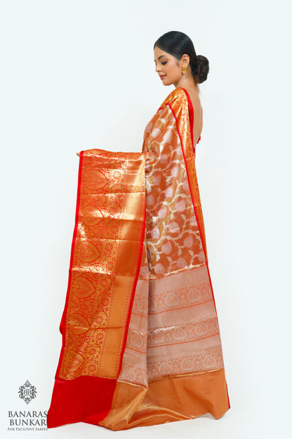 Banarasi Tissue silk saree allover jaal design with contrast skirt Borde