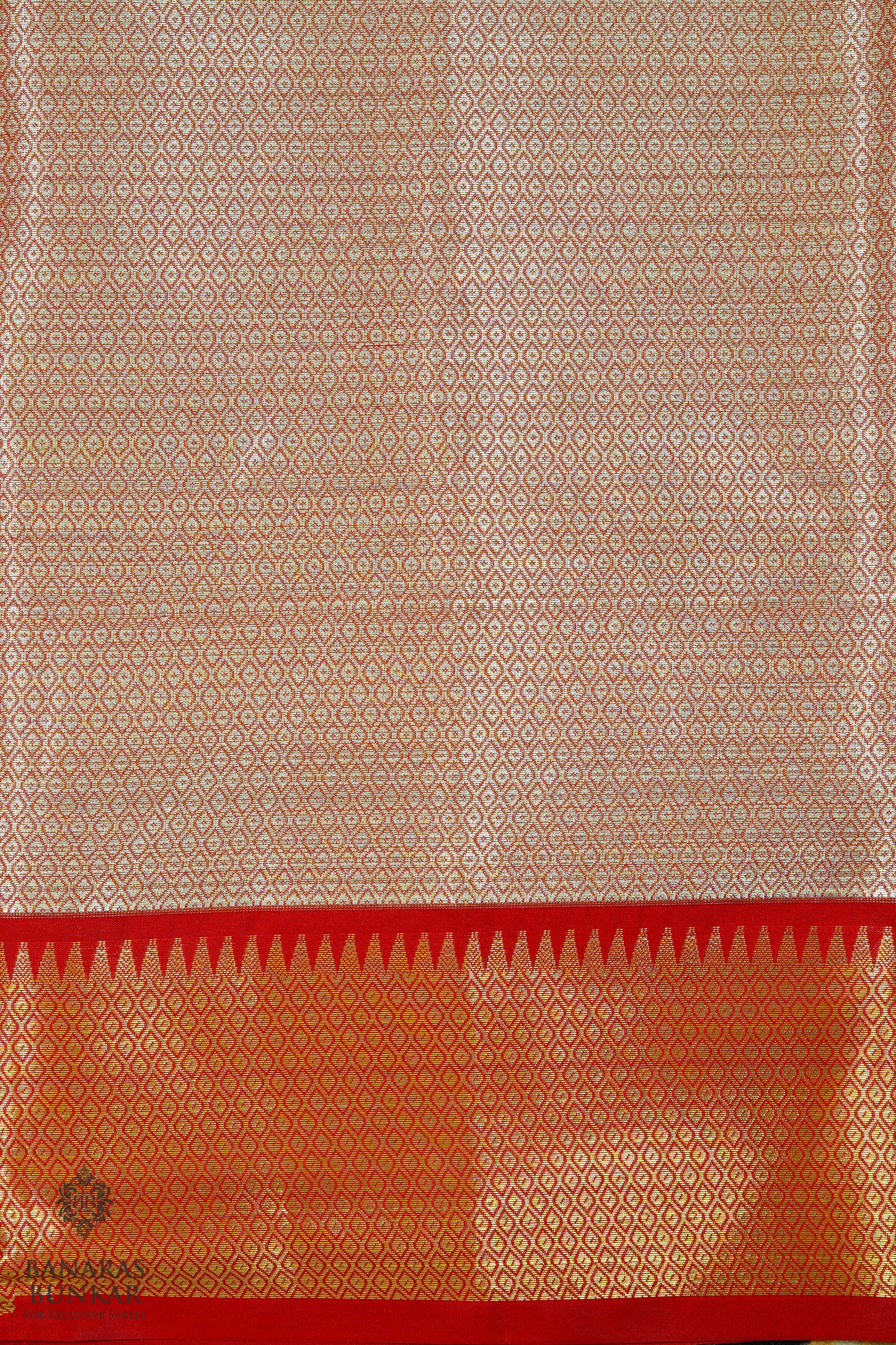 Banarasi Tissue silk saree allover jaal design with contrast skirt Borde