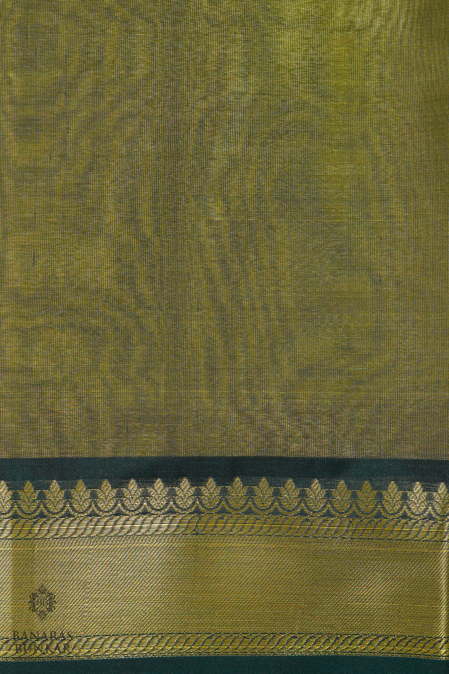 Banarasi Tissue silk saree allover plain design with contrast skirt Border