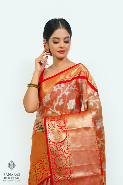 Banarasi Tissue silk saree allover jaal design with contrast skirt Border