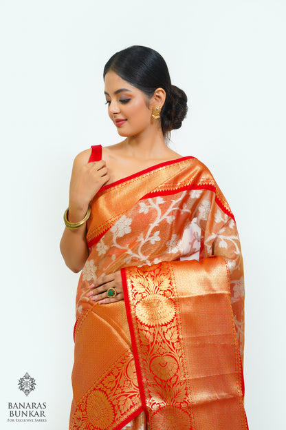 Banarasi Tissue silk saree allover jaal design with contrast skirt Border