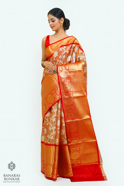 Banarasi Tissue silk saree allover jaal design with contrast skirt Border