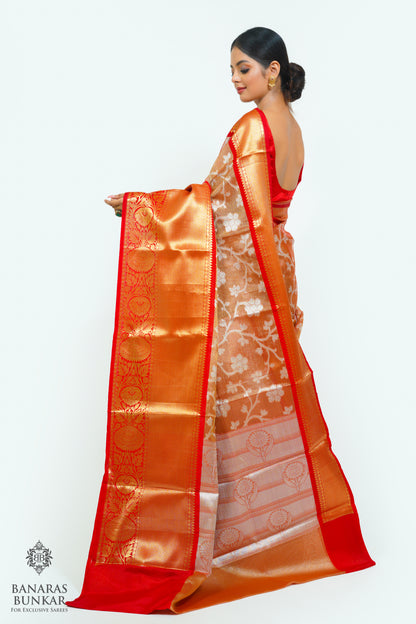Banarasi Tissue silk saree allover jaal design with contrast skirt Border