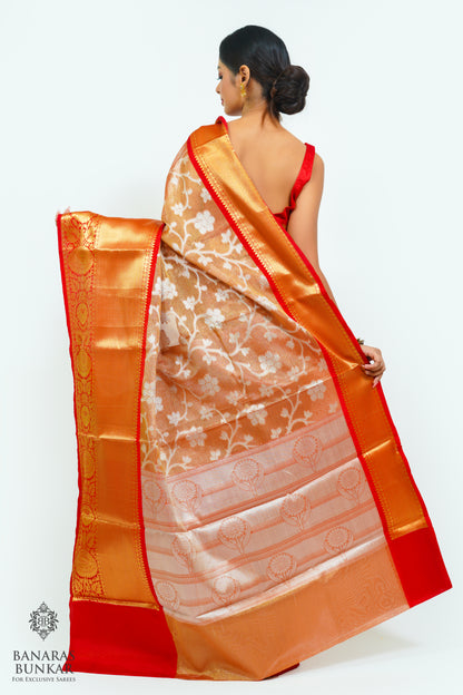 Banarasi Tissue silk saree allover jaal design with contrast skirt Border